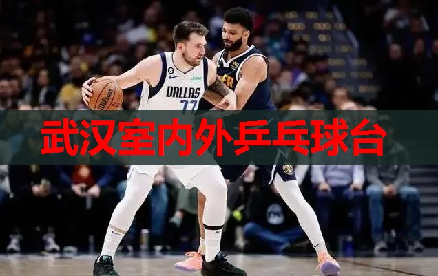 武汉室内外乒乓球台
