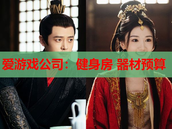 爱游戏公司：健身房 器材预算