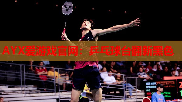 乒乓球台翻新黑色 乒乓球台翻新黑色