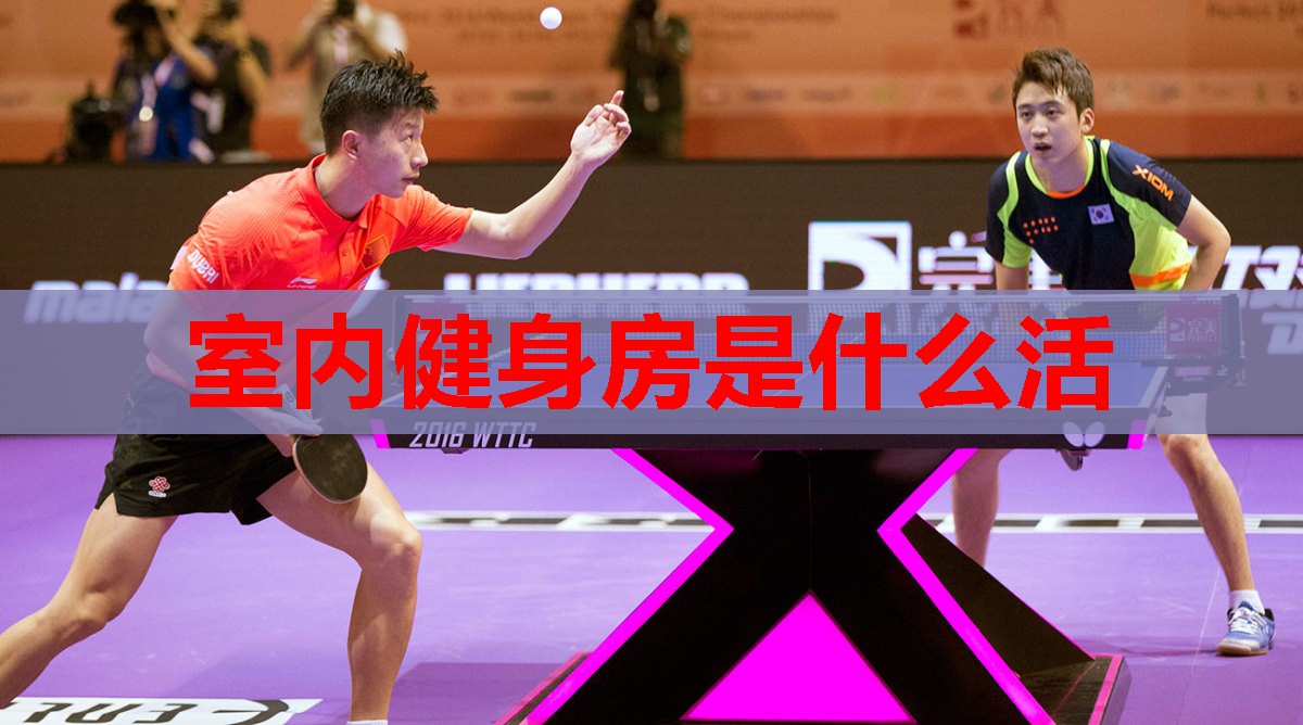 室内健身房是什么活 室内健身房是什么活