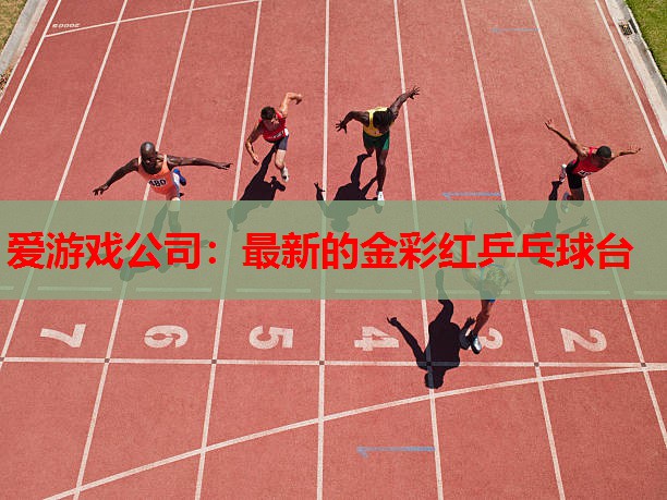 最新的金彩红乒乓球台 最新的金彩红乒乓球台