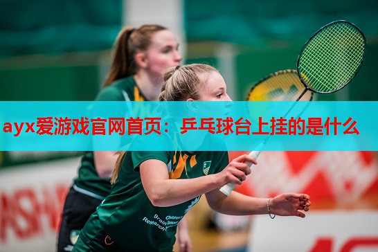 乒乓球台上挂的是什么 乒乓球台上挂的是什么