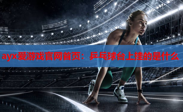 乒乓球台上挂的是什么 乒乓球台上挂的是什么