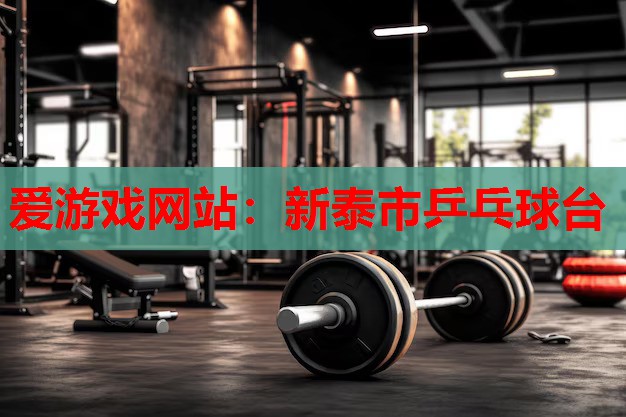 新泰市乒乓球台 新泰市乒乓球台