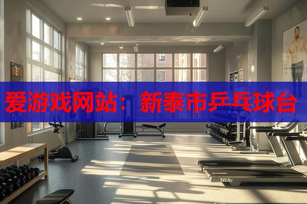 新泰市乒乓球台 新泰市乒乓球台