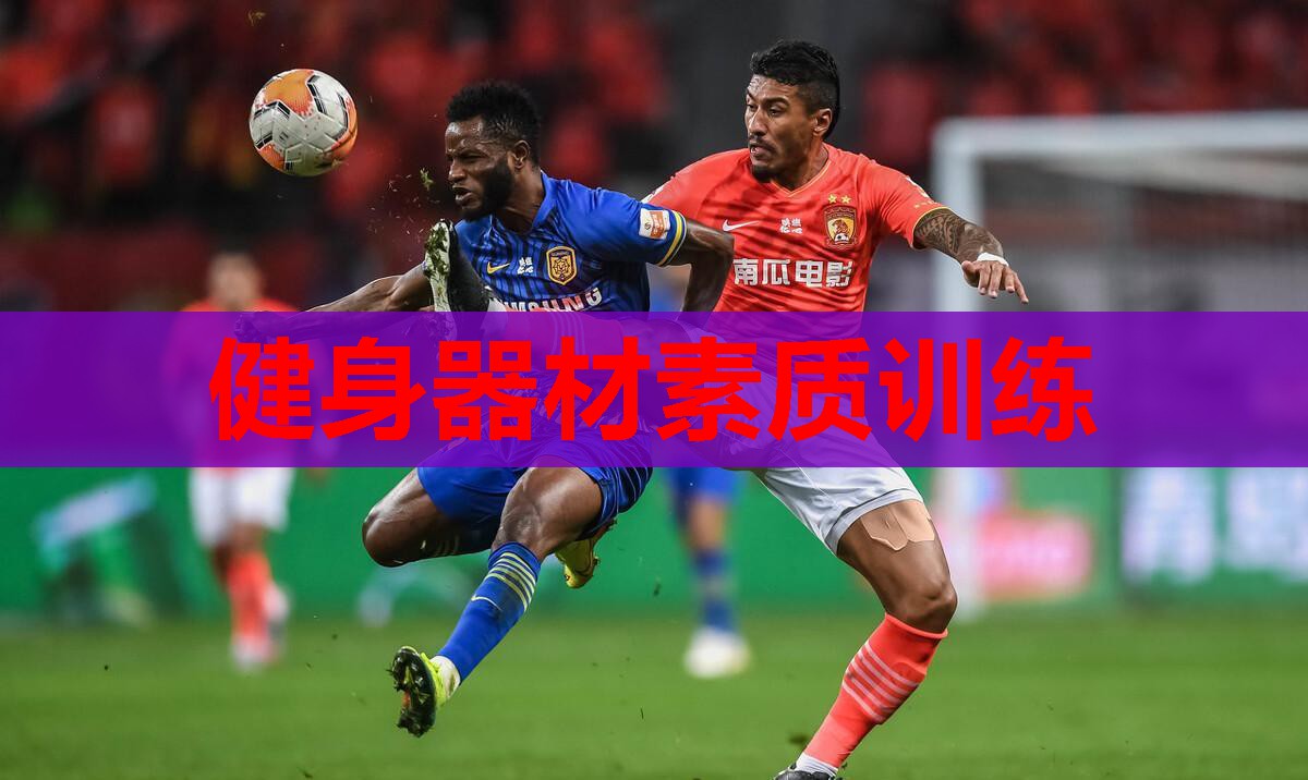 健身器材素质训练 健身器材素质训练