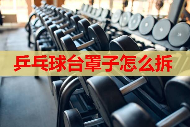 乒乓球台罩子怎么拆 乒乓球台罩子怎么拆