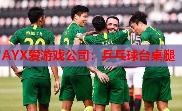 乒乓球台桌腿 乒乓球台桌腿