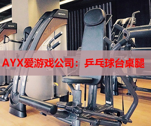 乒乓球台桌腿 乒乓球台桌腿