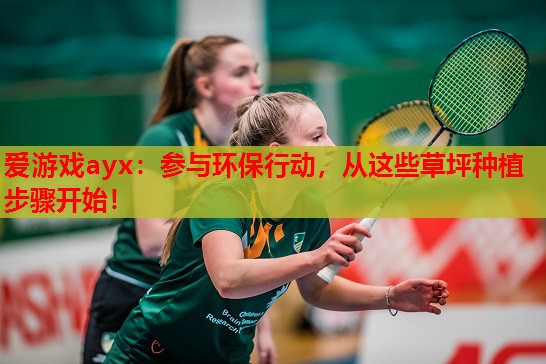 参与环保行动,从这些草坪种植步骤开始! 参与环保行动,从这些草坪种植步骤开始!
