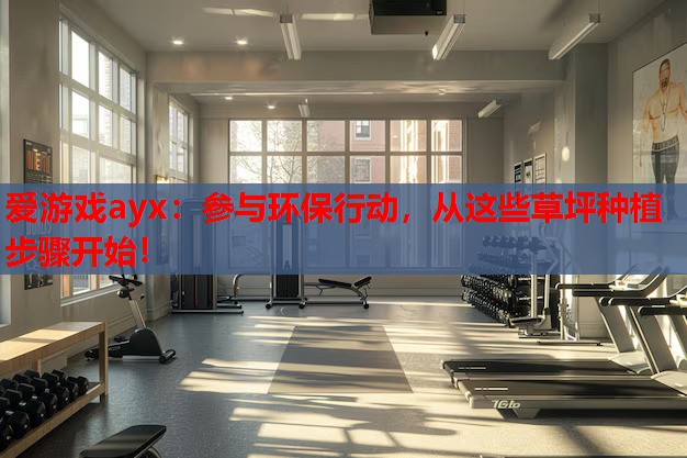 参与环保行动,从这些草坪种植步骤开始! 参与环保行动,从这些草坪种植步骤开始!