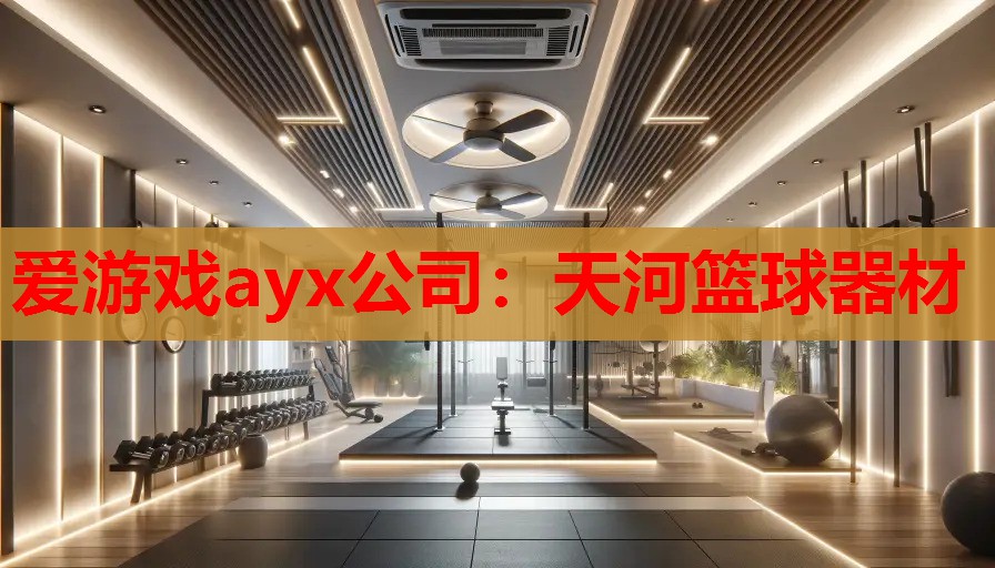 天河篮球器材 天河篮球器材