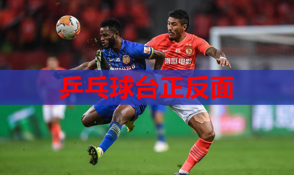 乒乓球台正反面 乒乓球台正反面