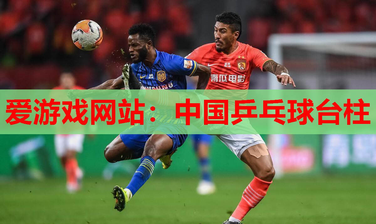 中国乒乓球台柱 中国乒乓球台柱