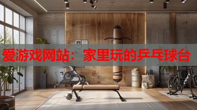 家里玩的乒乓球台 家里玩的乒乓球台
