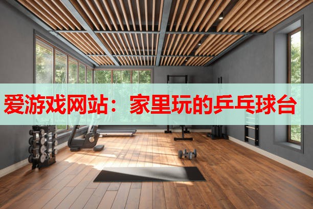 家里玩的乒乓球台 家里玩的乒乓球台