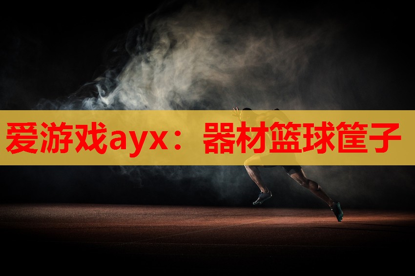 器材篮球筐子 器材篮球筐子