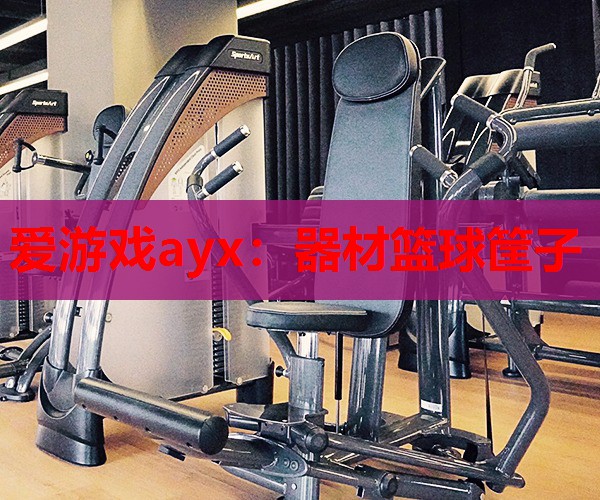 器材篮球筐子 器材篮球筐子