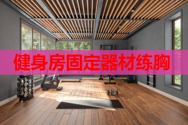 健身房固定器材练胸 健身房固定器材练胸